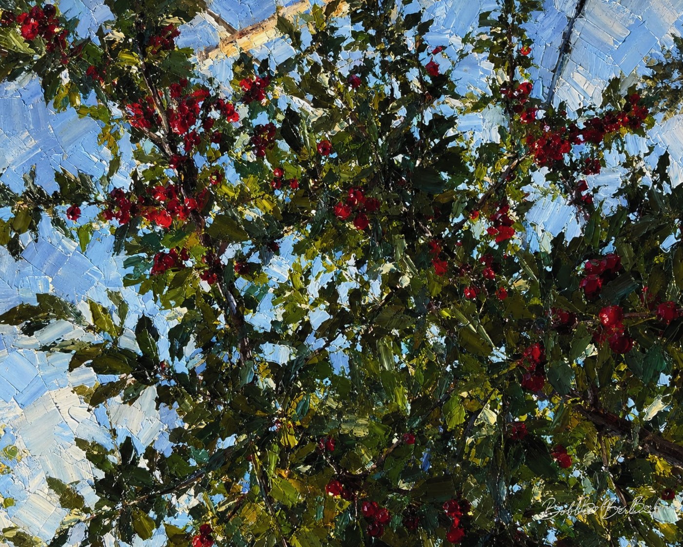 Red cherries in leafy branches against a bright blue sky